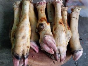 Dựng bò - chân bò – giò bò