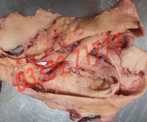 Gân Vàng Bò Tươi