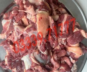 Vụn gân bò tươi