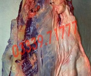 Nạm bụng bò tươi