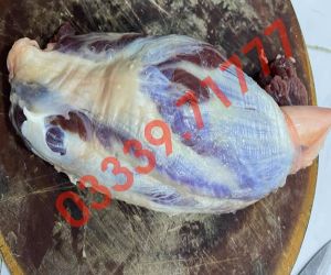 Bắp tròn bò Tươi