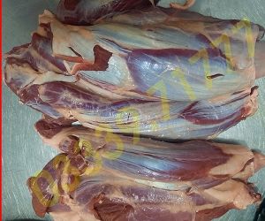 Bắp hoa bò Tươi