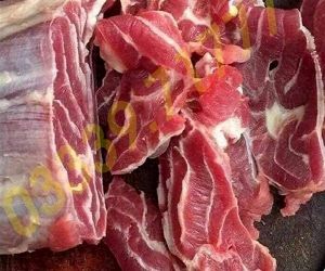 Lõi bắp rùa bò tuoi