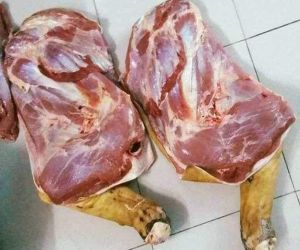 Đùi chân trước Bò tơ nguyên cái